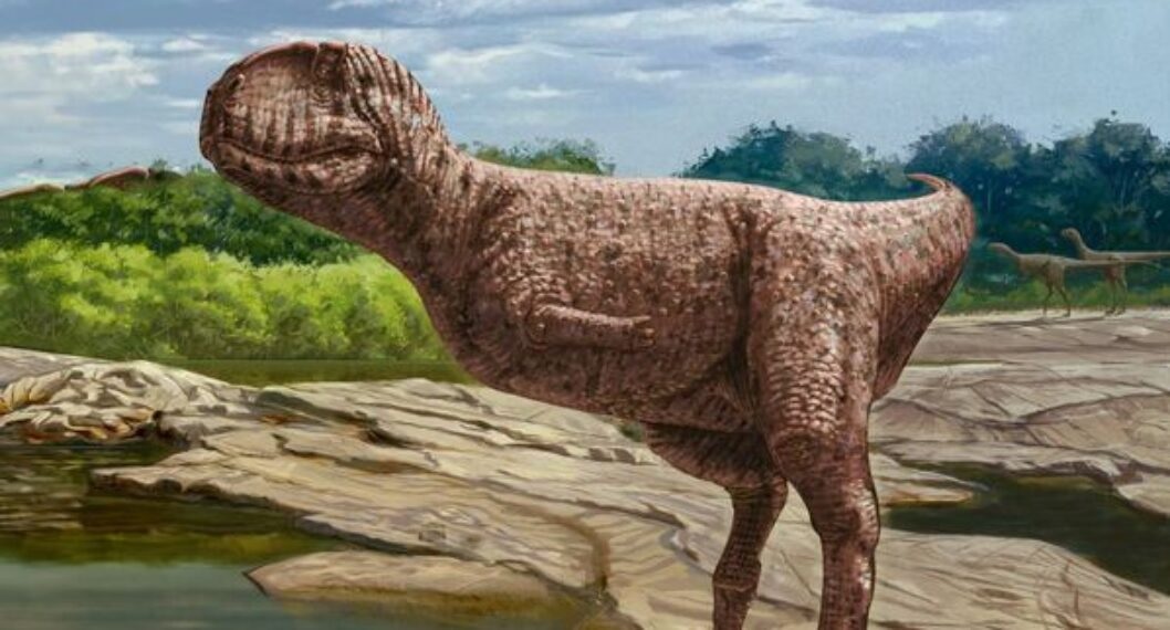 Encuentran fósil de hace 98 millones de años de un dinosaurio con cara de  bulldog - Totus Noticias - Totus TV